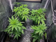 C8AEE473-CE8F-4819-8212-E86401AF9373