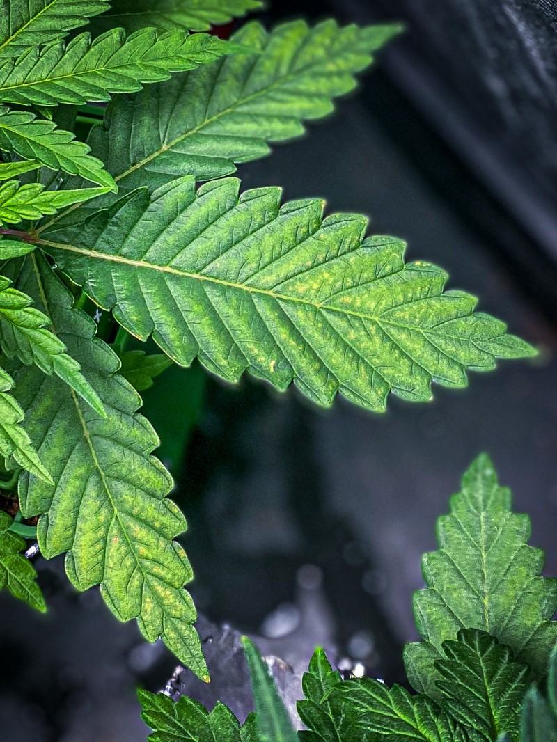 98F1BCC8-5B5F-44FB-BFA4-7C62ECB095A0