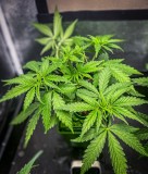 1FE64EC5-5ADF-4302-B1E3-7CD1F3BA6DCC