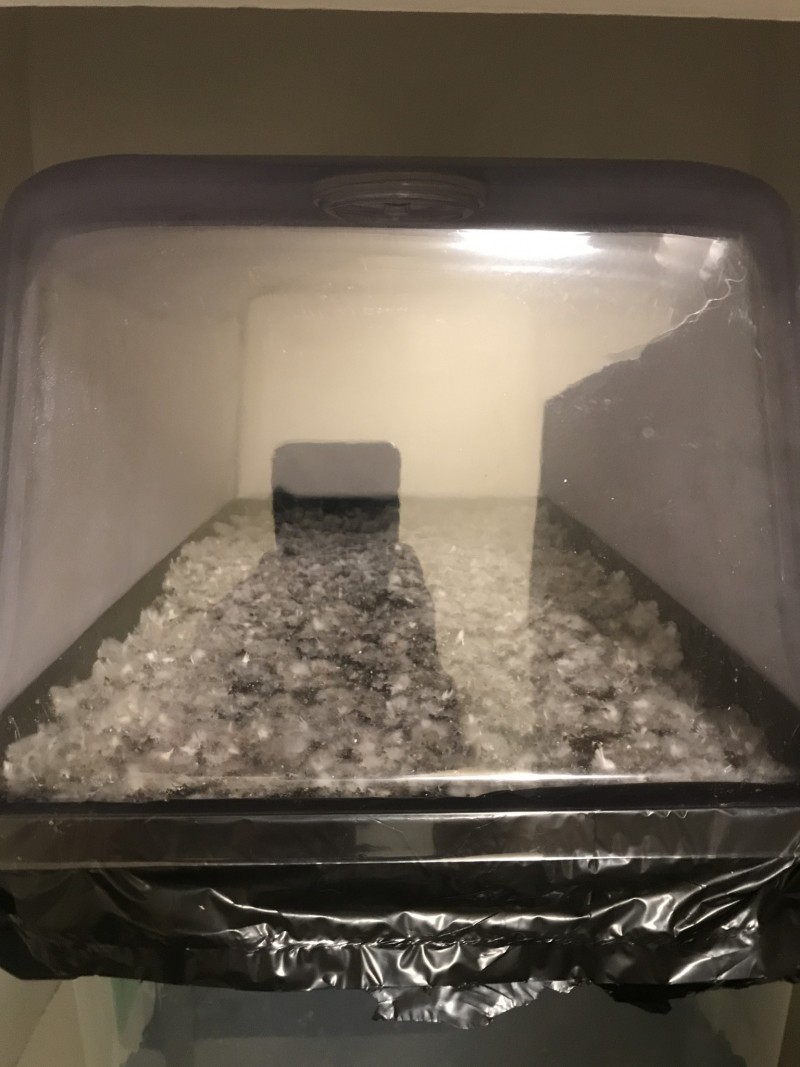 7C2EAB5B-26B4-4AB0-AABD-6C06E4FD7F47