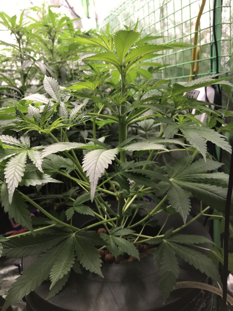 EBDAE996-C263-4A1D-BA18-592DA7CE7A1E