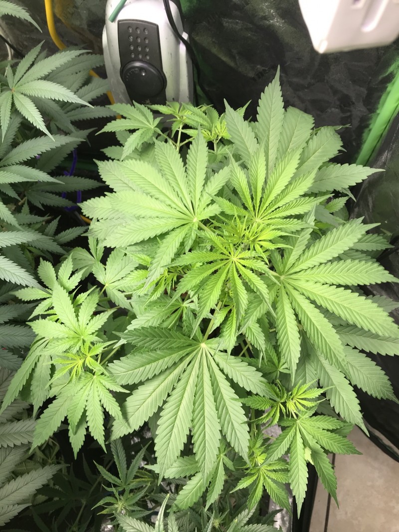 20BB88F2-105D-4840-93E8-E8F6231B21A5