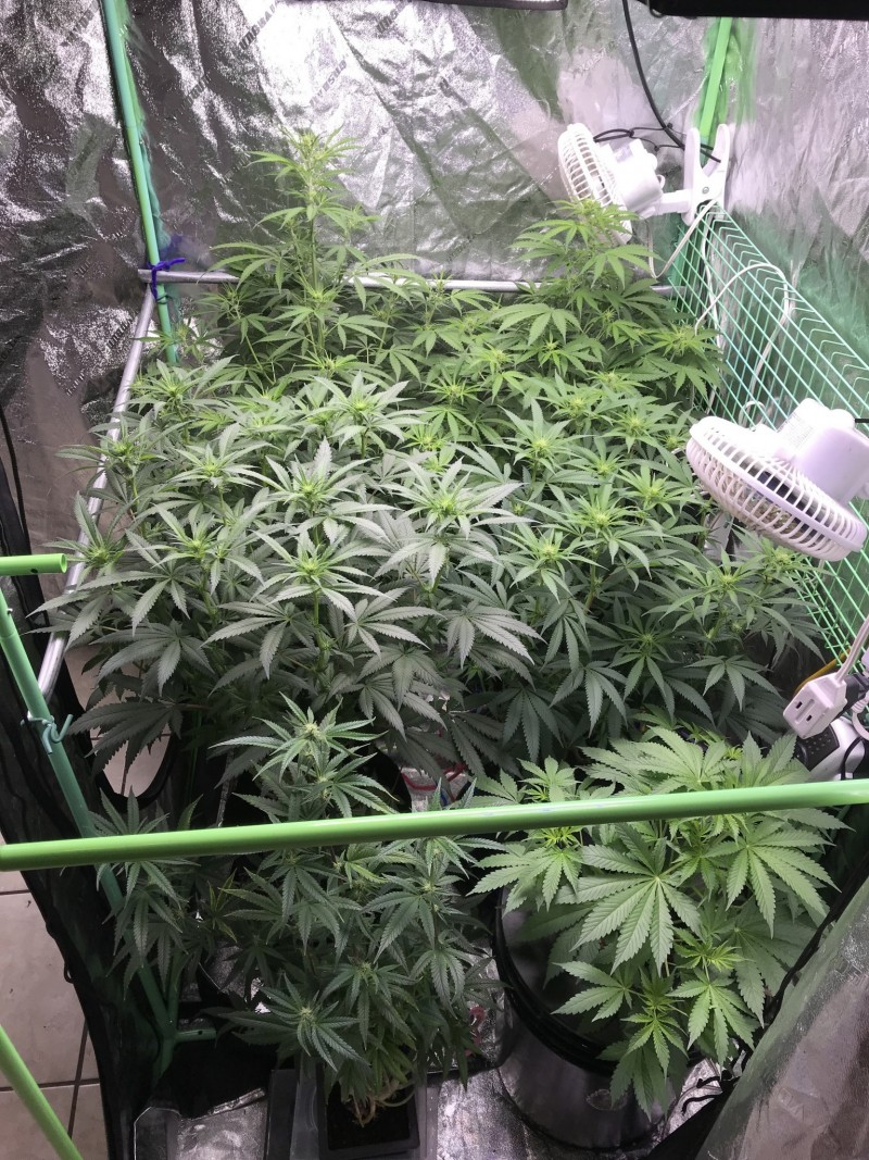 601163D1-0349-4129-BA7E-2D58489FD5E8