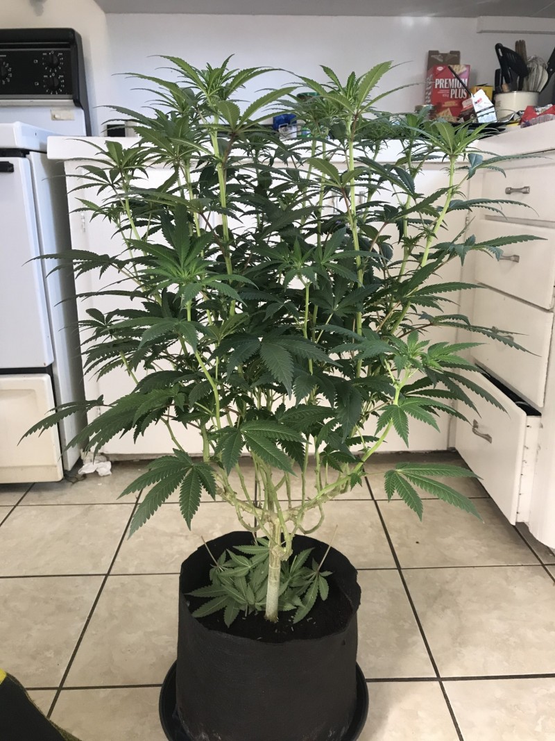 5890AAD3-D327-4F16-AB51-FCA4B2B8E22D