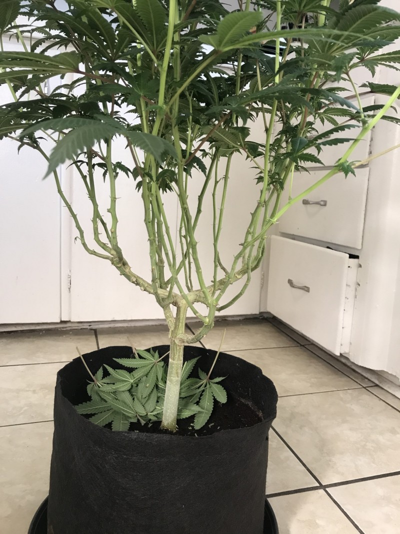 92533E2D-BE36-4923-B278-3DEB9D188E3C