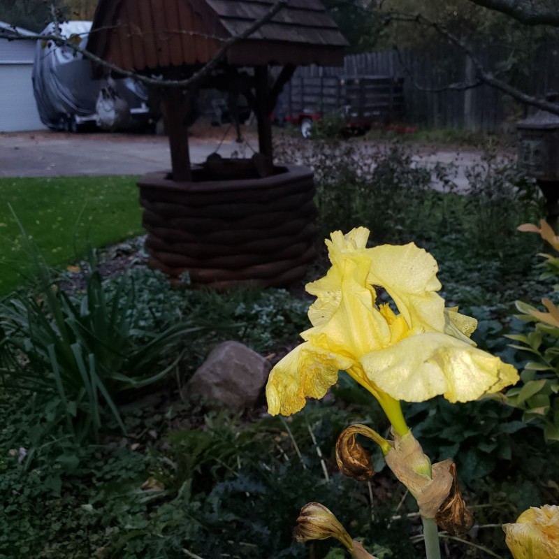 16358914279415990846511155879491