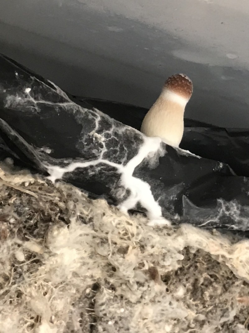 4664ED70-466E-4E5F-825F-EB53226D583D