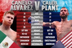 canelo v plant