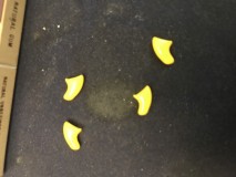 E9CE24FF-92F3-41DC-9B72-8E9F9514000F