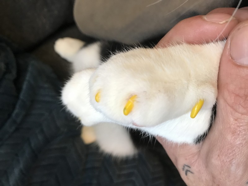 A5D0FEFF-47F0-47A5-A695-AD7ED8FE832E