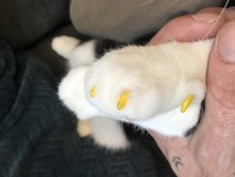 A5D0FEFF-47F0-47A5-A695-AD7ED8FE832E