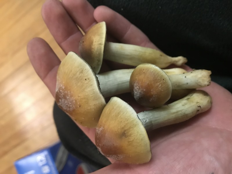 E5AB5AFE-6FD3-4AA5-B1E3-7DC5395D67F9