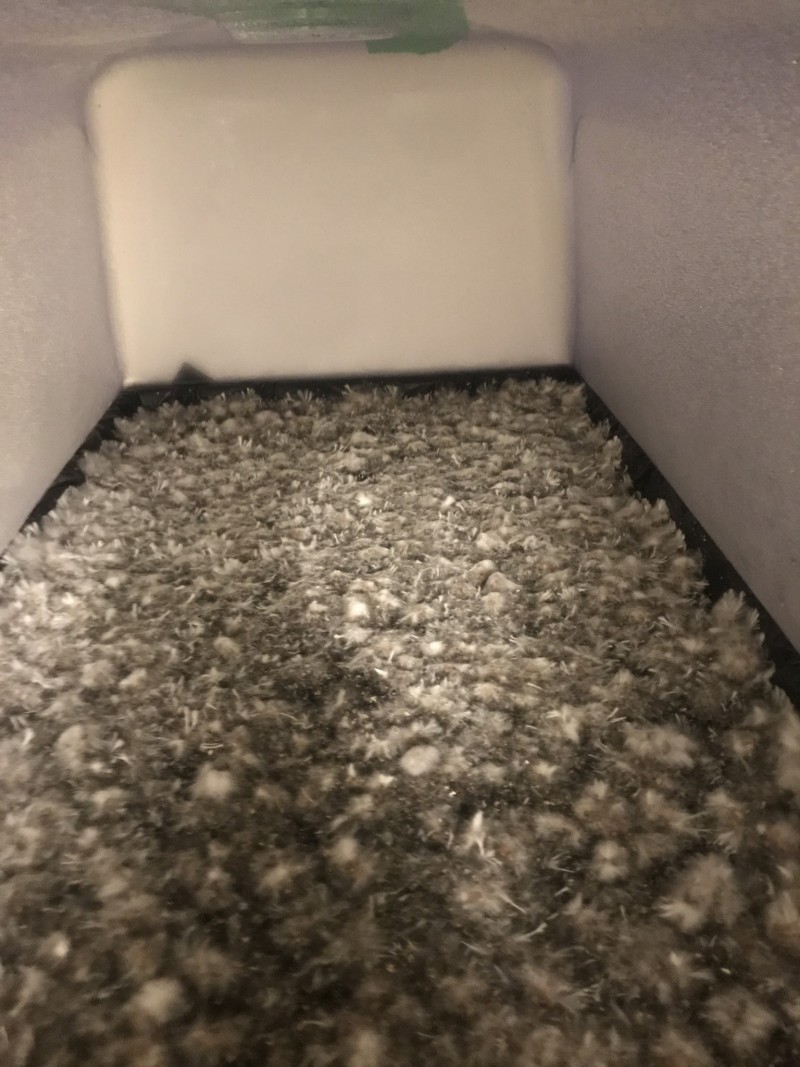 D6FECEF3-FC6E-4577-ADB7-4B0BE0796552