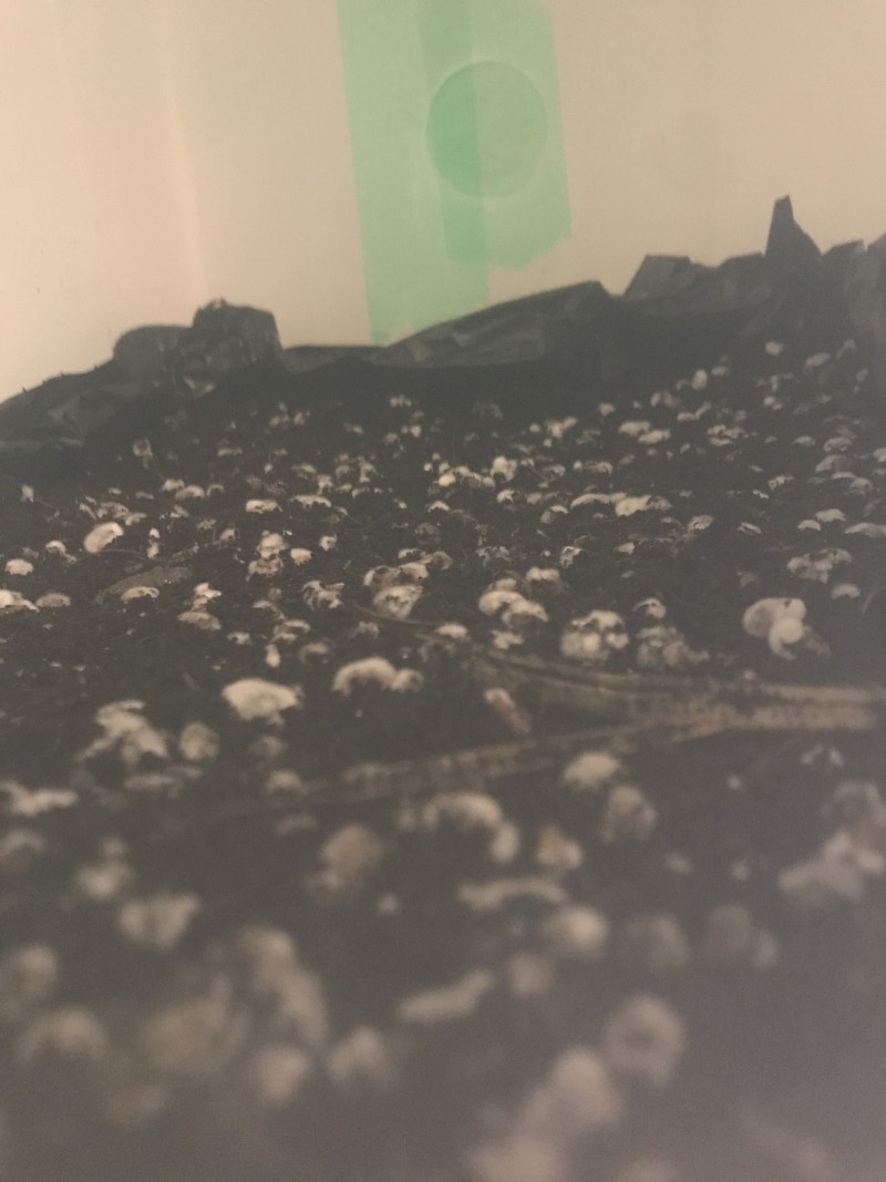 8959C272-5F1B-4B59-96D2-DD09D9184BC2