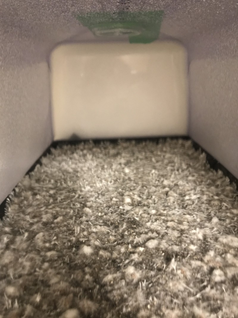 E395EB68-8687-4A5C-90A3-97BE93C17AA6