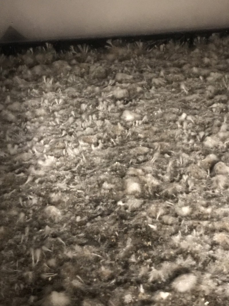 D0A6F998-AB58-49B8-9ABE-5592B6C3FE9A