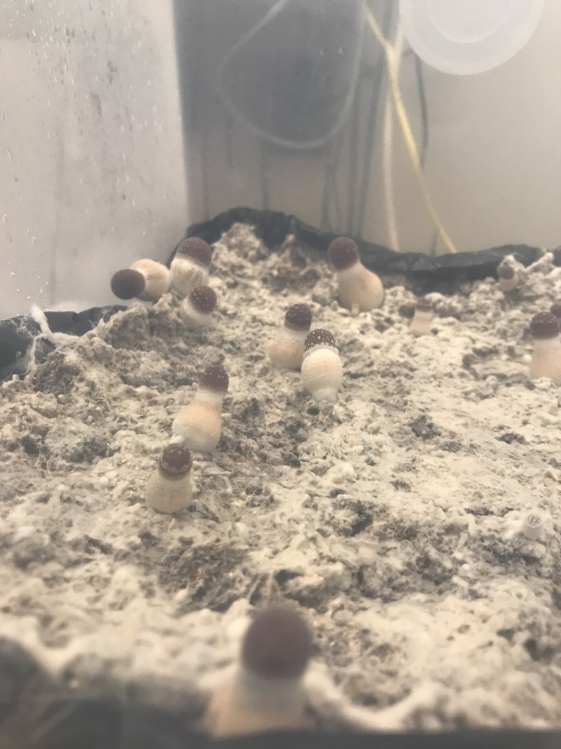 22BDBE2C-892B-4853-8993-71773FD78D79