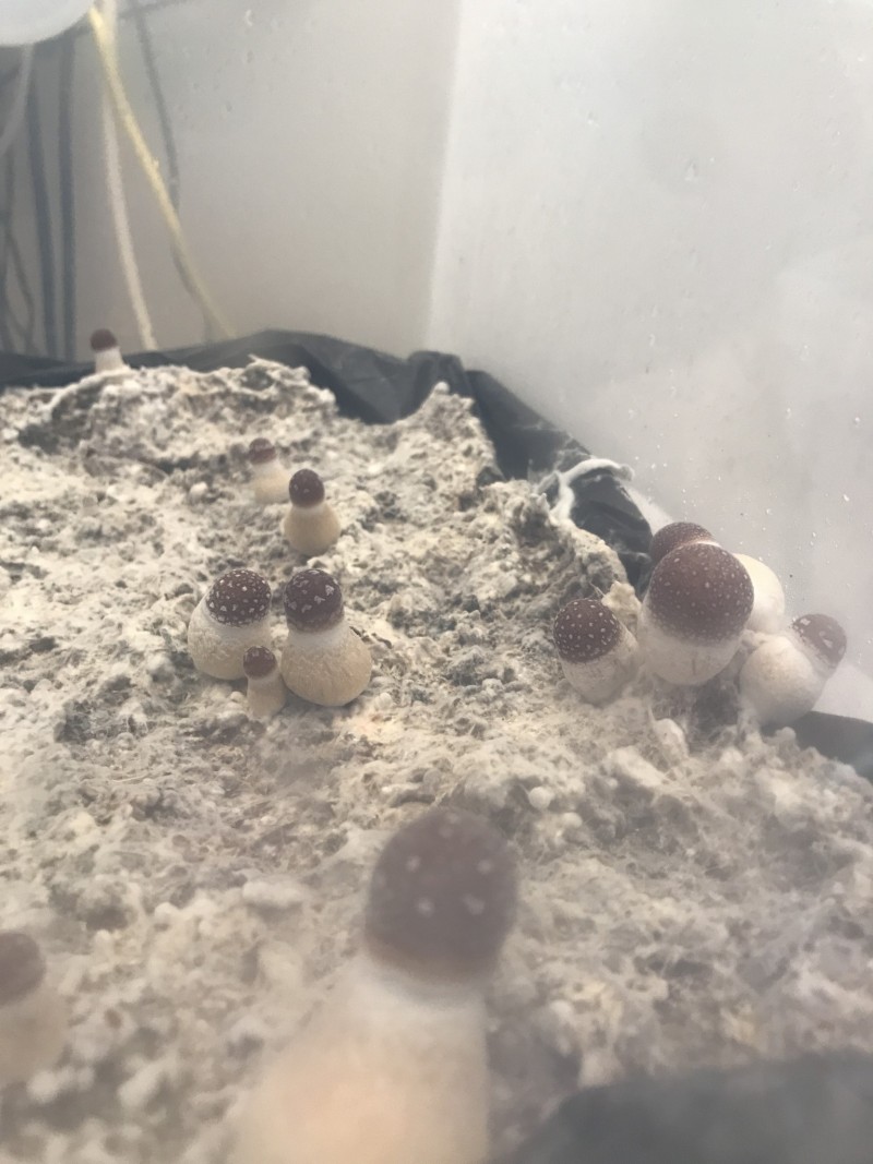 053A33DF-01E5-4C2C-8344-4A1E660140B3