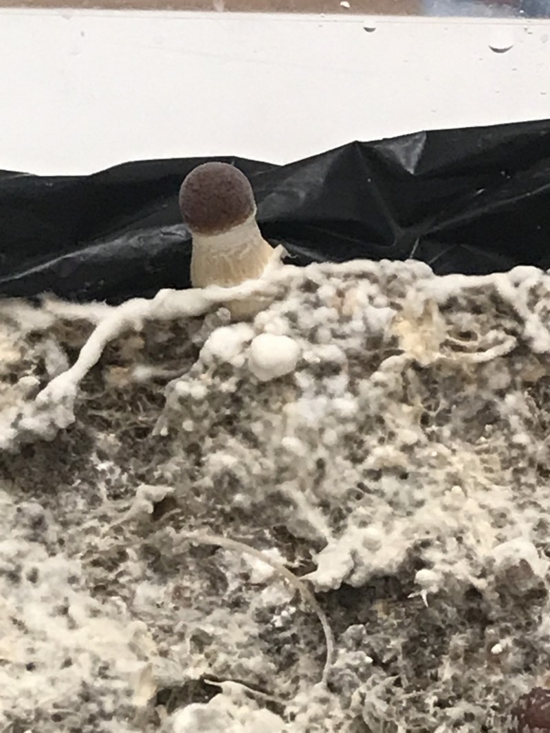 09B1DB02-F1A1-4738-94A4-C58BA7702C91