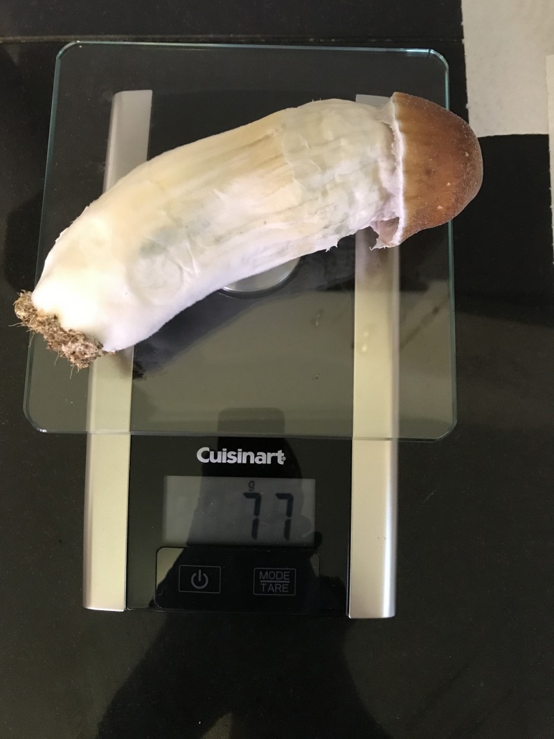 C83597F5-1286-4502-9015-C7800C278B19