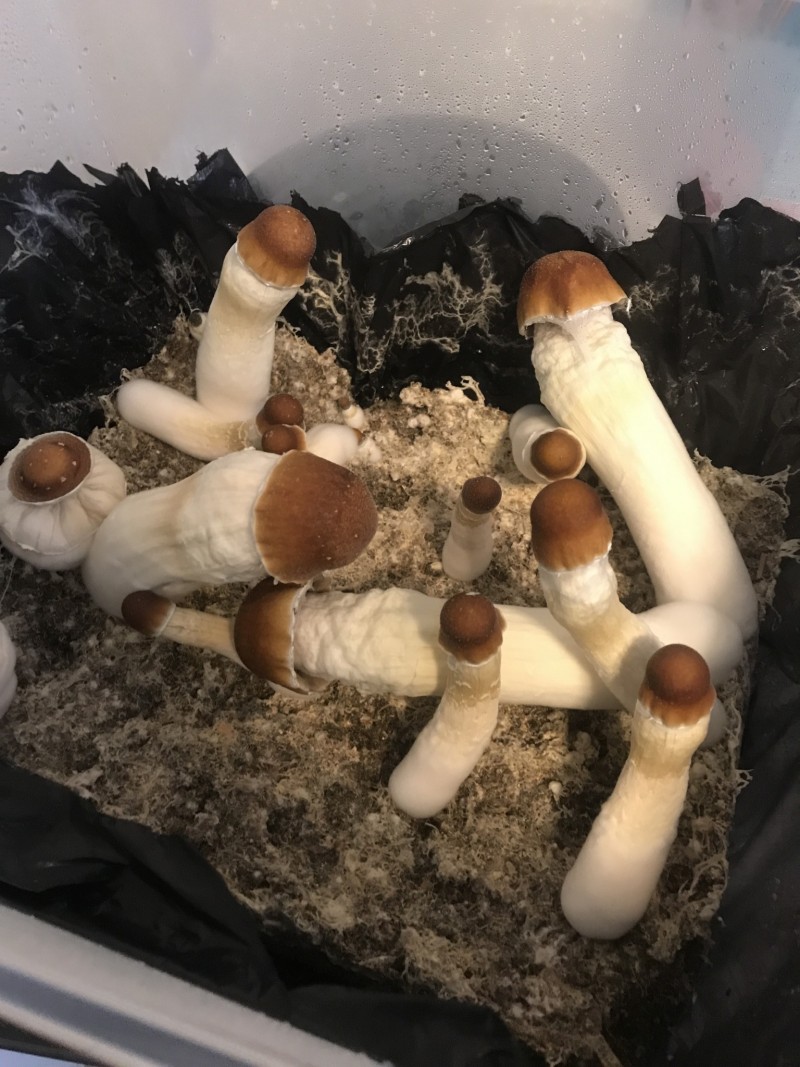 20D154B6-840E-474F-ABAC-E8097AFC74C7