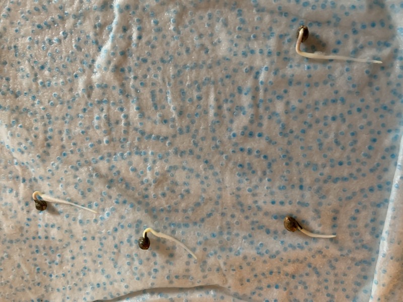 D11D4B3A-9758-4D53-8565-89A4AA9C46FA