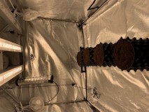 77969A91-6CEA-4DF3-A457-B9661DA3D6F9