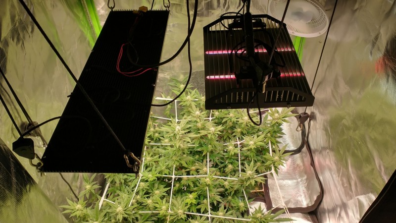 IMG_20211106_094821008_HDR