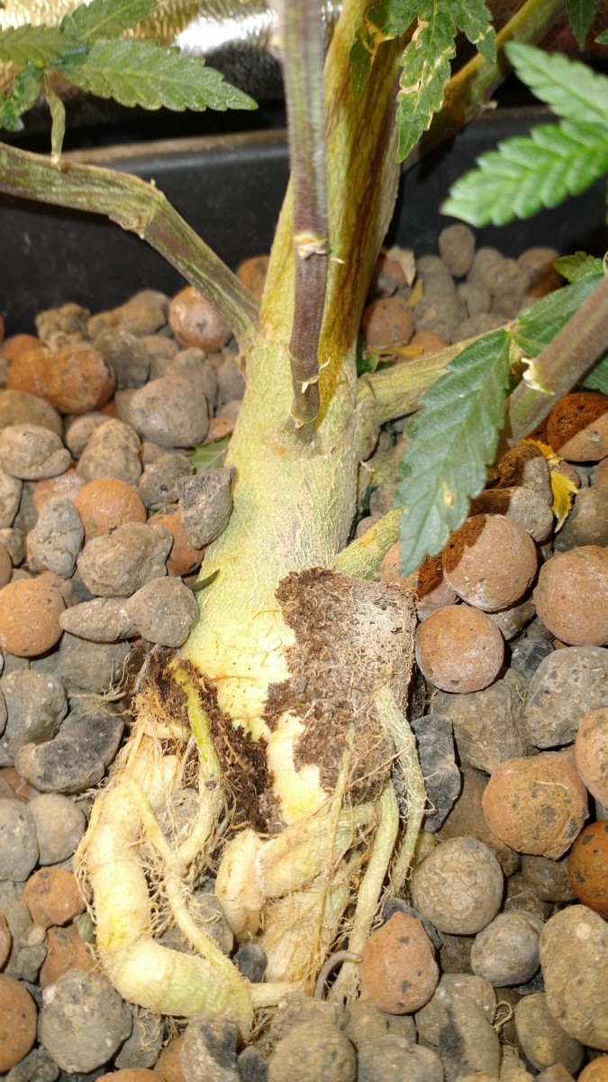 IMG_20211106_094740024