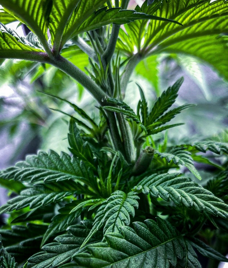 6ADB10BD-586A-4B4E-88B5-5212C3D49E03