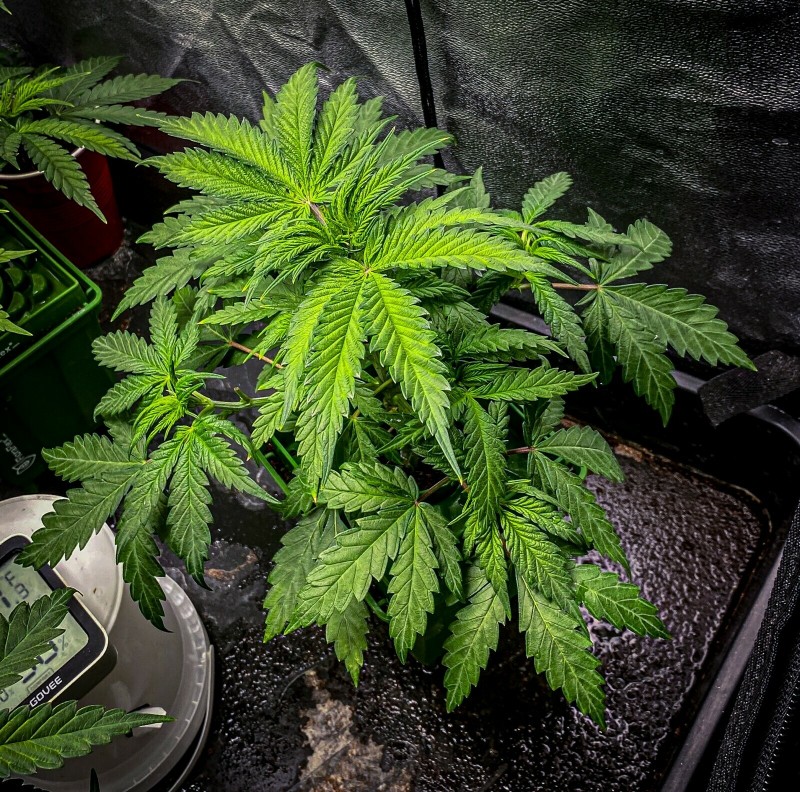 6A8EBF7E-EC8E-498B-BD7D-BD2715497EFF