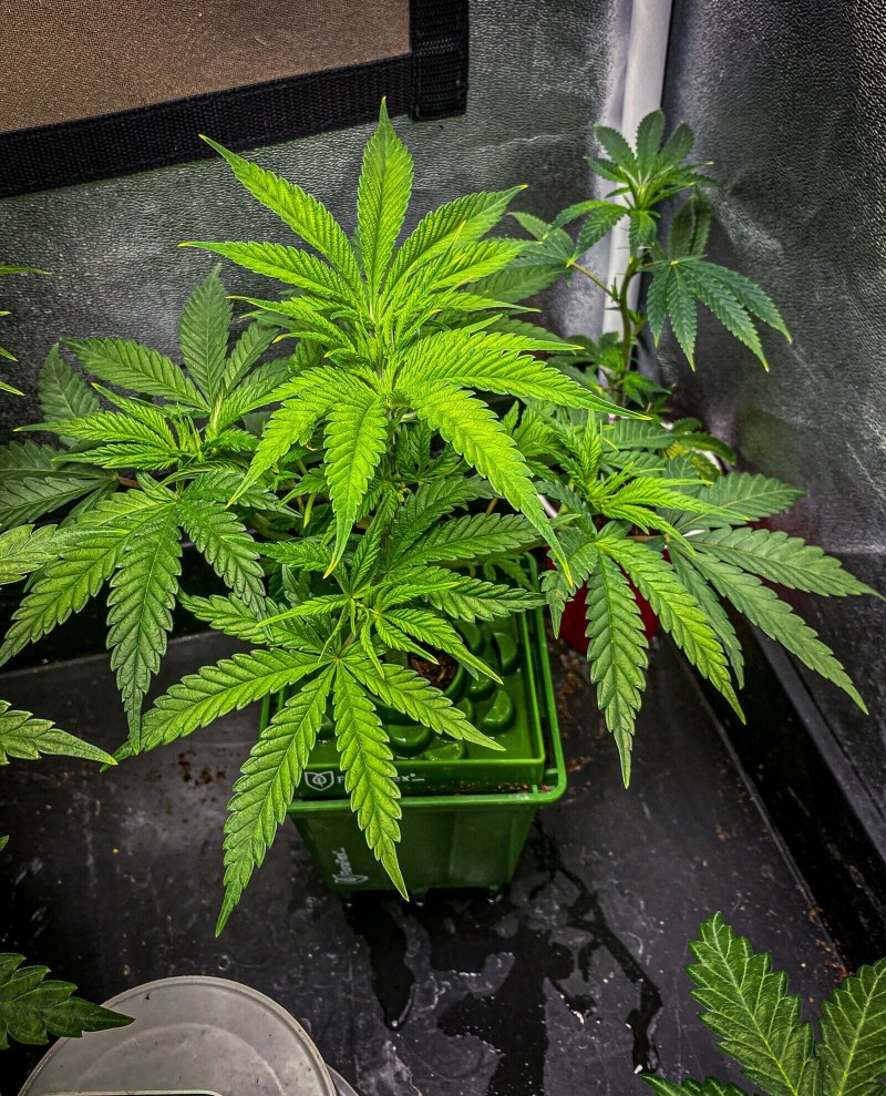 0E909B6E-5ECF-4190-94EB-278274C2DA9F