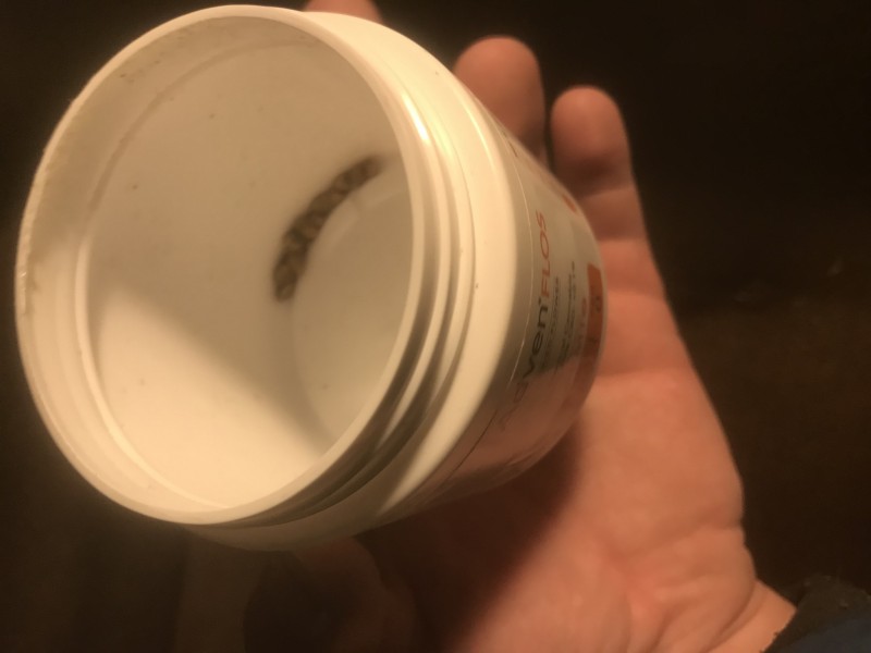 6B47D387-26B5-4029-9E33-B988C5DCEF0A