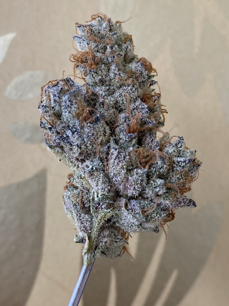 99917484-0A18-40F7-9B0E-5D1E371147B4