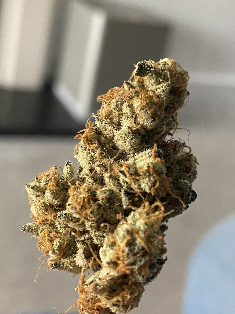 474E12D0-D0F1-4C72-9030-BA6231C06F26