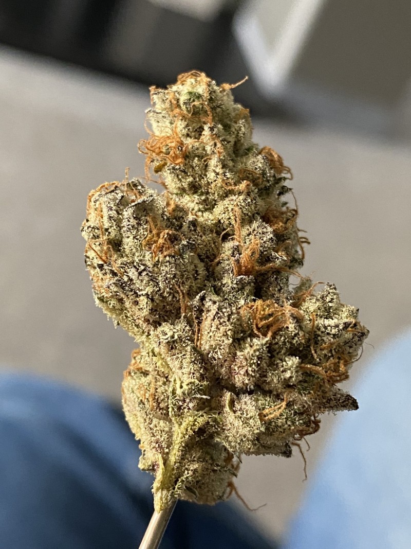 C86B4630-E6B9-46EA-A164-519A792EFDC8