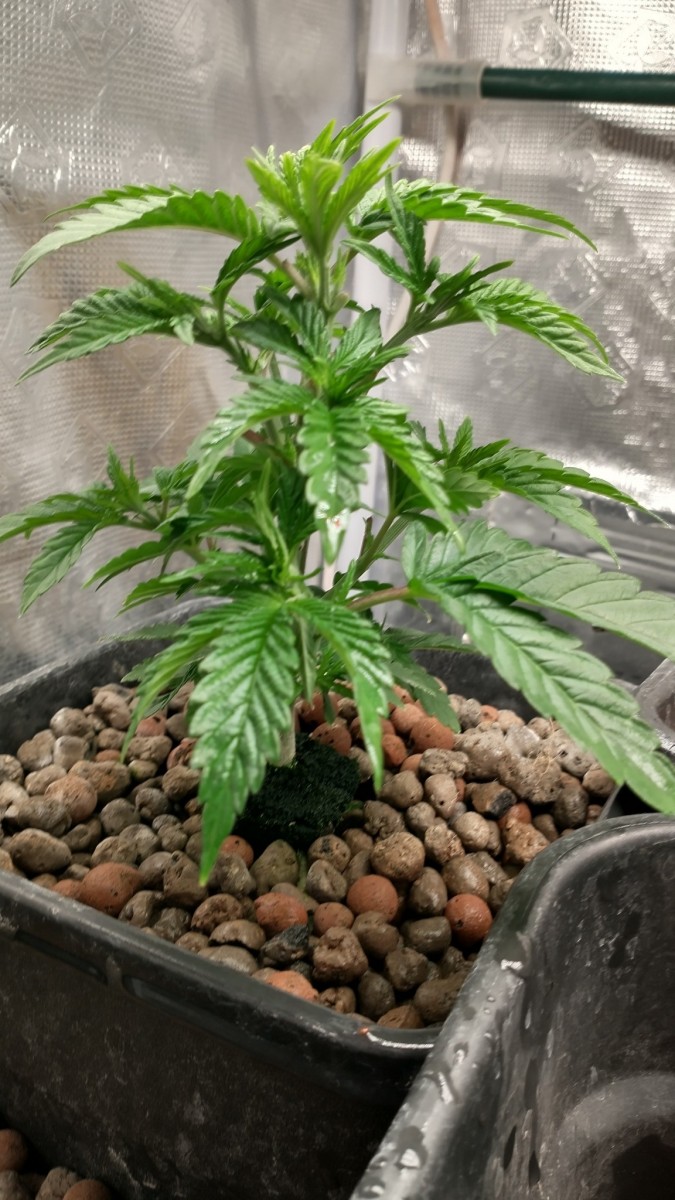 IMG_20211107_130955199_HDR