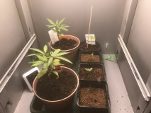 C88B854A-823D-4102-9812-3AB86B1B242C