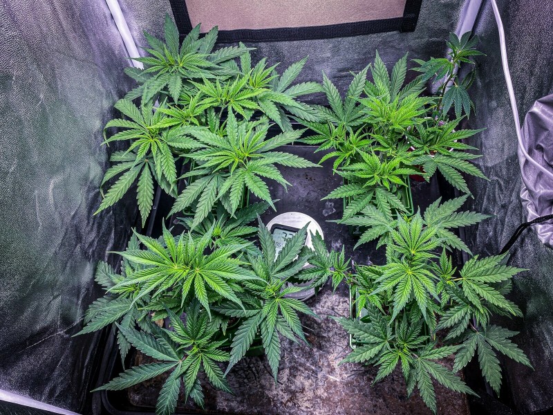 36589C30-B3BF-4654-A3F2-F3C0D62AEF05