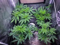 36589C30-B3BF-4654-A3F2-F3C0D62AEF05