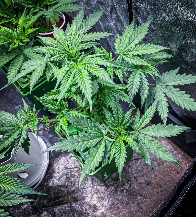 CF5EE82B-9E70-4273-8F39-4C38349F4FAF