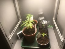 CD445F05-6F74-4D18-9955-B8A366D01851