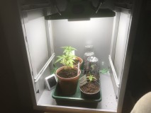 F9CD6E72-7326-4D98-8A77-B4CB5CA4FF88