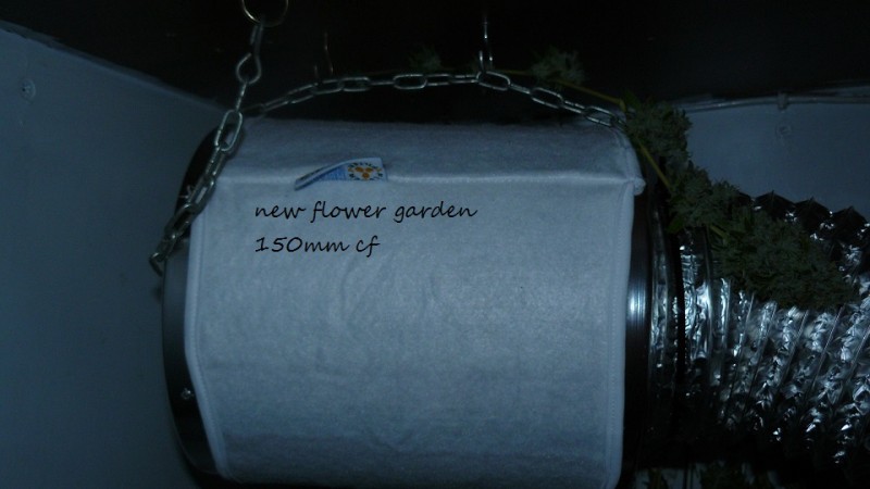 2nd drobe harvest,new cf vks 013