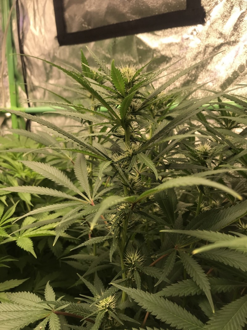 34E39FC1-C1A6-42B0-8328-D241CA37C768