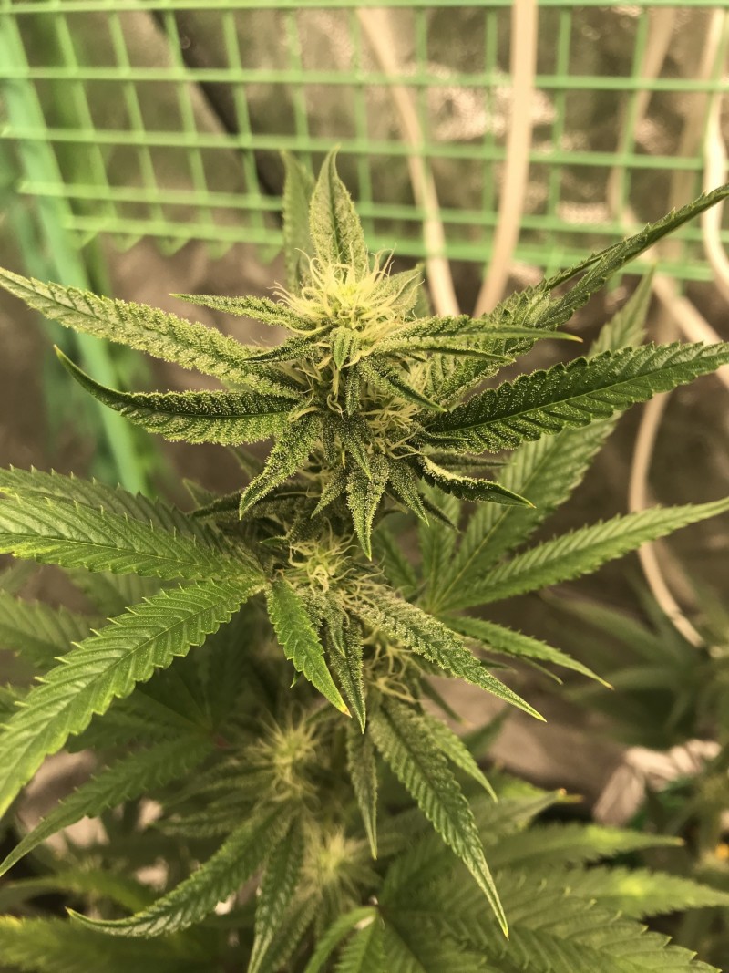 F47F8695-34BD-4652-A8FE-E2EEE3B47738