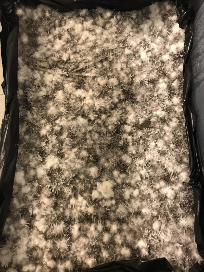 92F6721F-DC2D-4927-B167-10599AA918B1