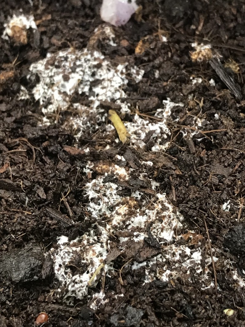 CDB22A79-F467-4675-9881-CE05A866A749