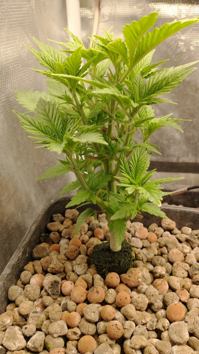 IMG_20211110_151825165