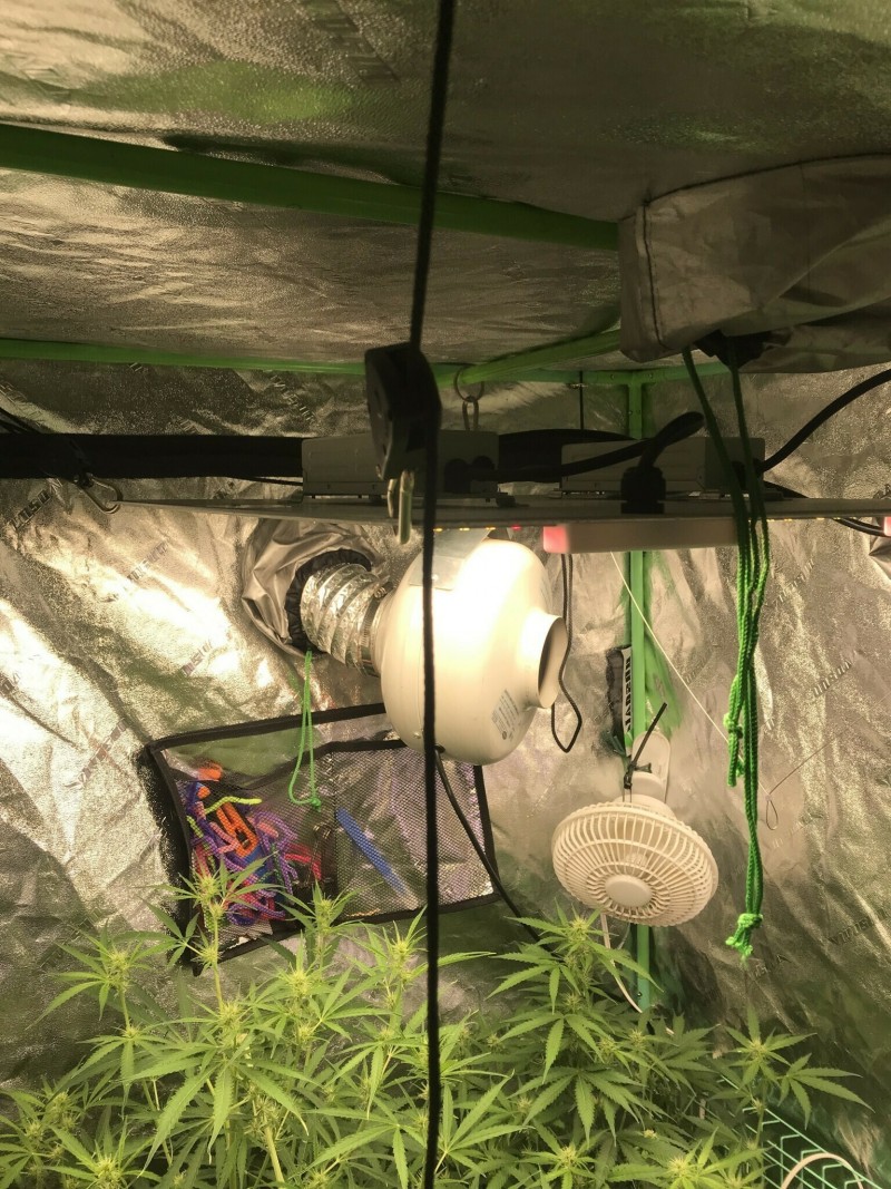 F4612B75-0B74-4375-8D7F-0CFD83469BFA